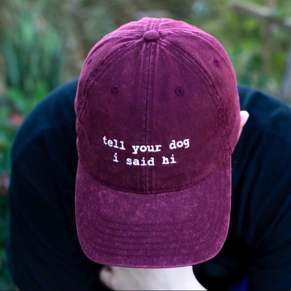 Tell Your Dog I Said Hi - Dad Hat